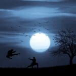 The Gentle Art of Tai Chi: Strengthening Your Body, Inside and Out