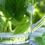 Detox 101: Your Essential Guide to Cleansing Detox 101: Your Essential Guide to Cleansing
