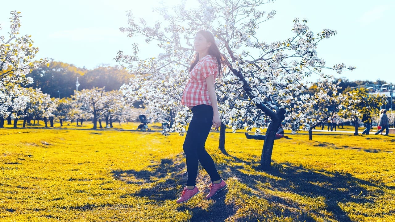 Secrets to a Successful Pregnancy Journey Secrets to a Successful Pregnancy Journey