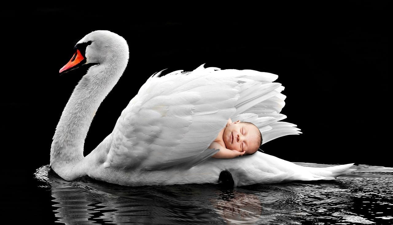 Pregnancy and Sleep: Finding Comfort in Bed Pregnancy and Sleep: Finding Comfort in Bed