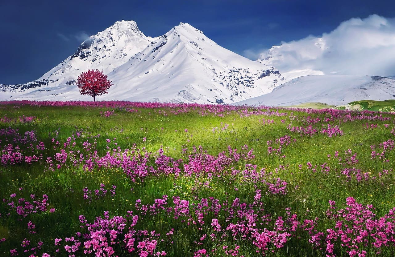 The Power of Mindfulness: Reduce Stress and Find Inner Peace The Power of Mindfulness: Reduce Stress and Find Inner Peace
