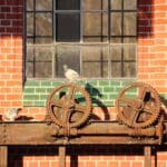 Caregiving: An Intimate Look into the Human Spirit Caregiving: An Intimate Look into the Human Spirit