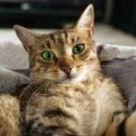 The ABCs of Hair Loss: Understanding the Terminology The ABCs of Hair Loss: Understanding the Terminology