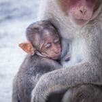 Female Empowerment: Embracing Mother Nature