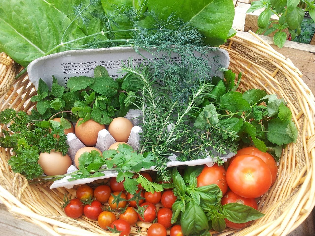 The Science Behind Sustainable Weight Loss The Science Behind Sustainable Weight Loss