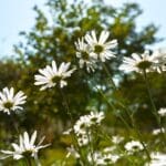 Embracing Strength: Empowering Women to Embrace Their Inner Warriors