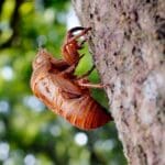 The power of self-compassion: Nurturing oneself with female empowerment The power of self-compassion: Nurturing oneself with female empowerment