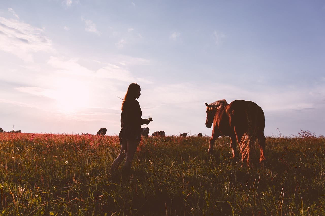 Finding your tribe: The importance of female support networks Finding your tribe: The importance of female support networks