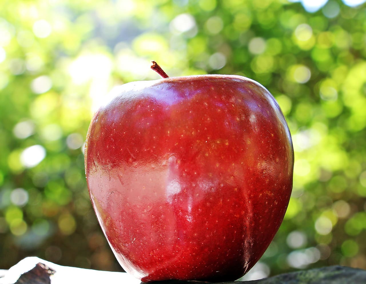 How to Maintain a Healthy Relationship with Food for Long-Term Weight Loss How to Maintain a Healthy Relationship with Food for Long-Term Weight Loss