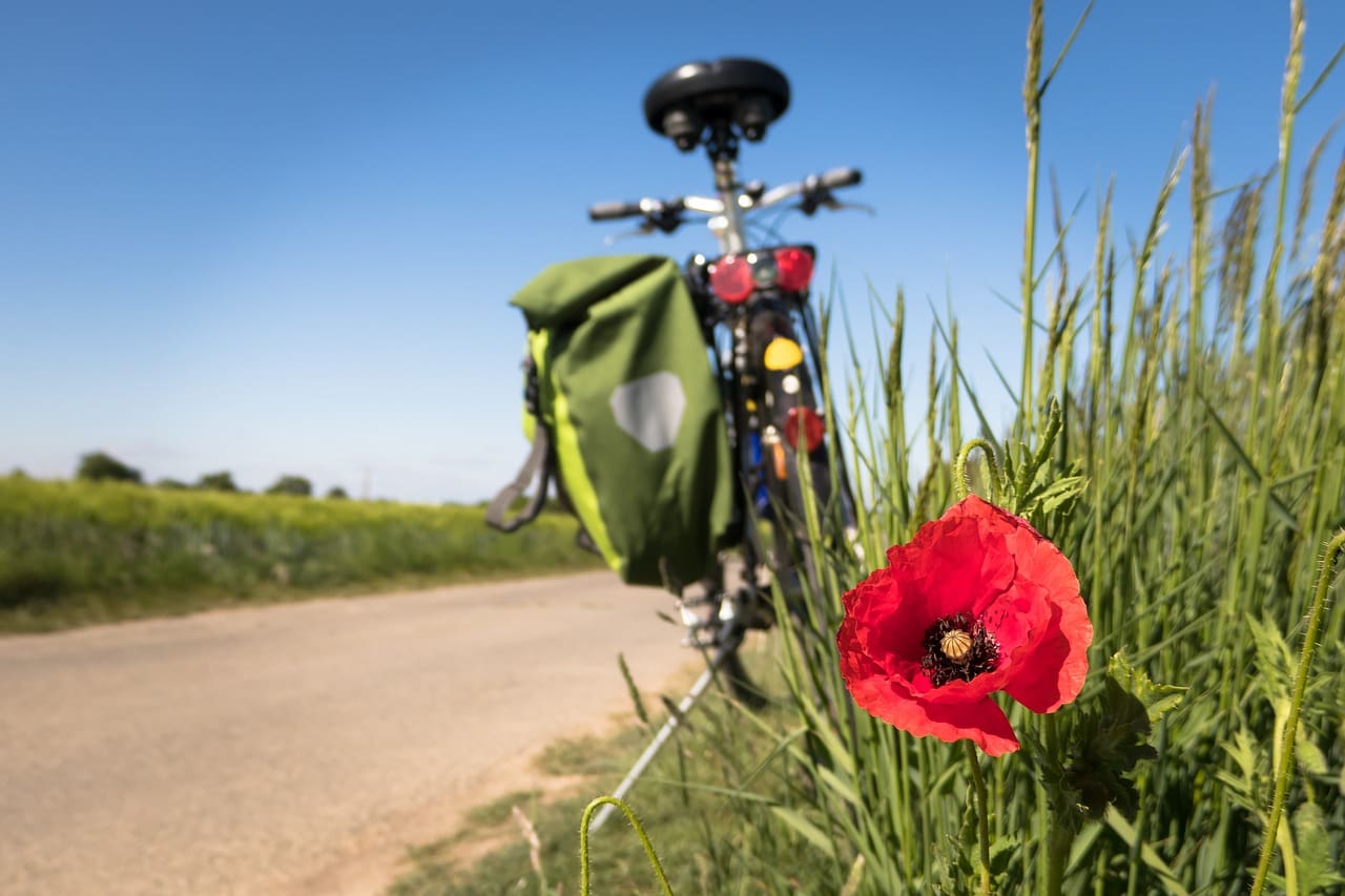 The Benefits of Outdoor Activities in Parenting Teens The Benefits of Outdoor Activities in Parenting Teens